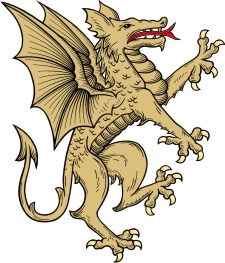 Advanced-Shield-Supporter-5