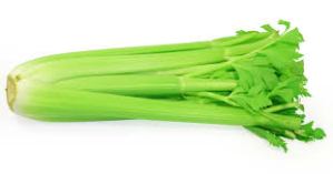 celery