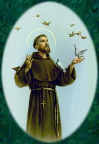http://garrettkell.com/wp-content/uploads/2012/10/St.-Francis-Bird-Preacher.jpg